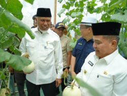 Gubernur Mahyeldi Dorong Pertanian Sumbar Berbasis Smart Farming